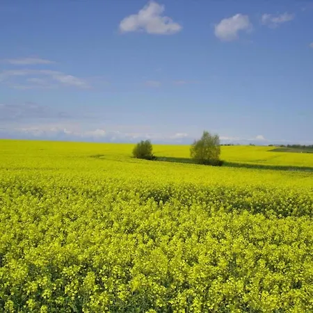 Idyllic In Bastorf With Balcony Apartman Kägsdorf