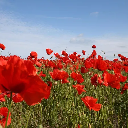 Idyllic In Bastorf With Balcony Apartman *