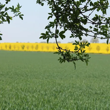 Appartamento Idyllic In Bastorf With Balcony *