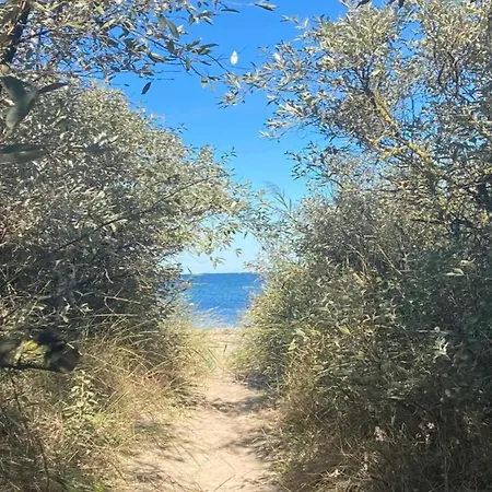 Idyllic In Bastorf With Balcony